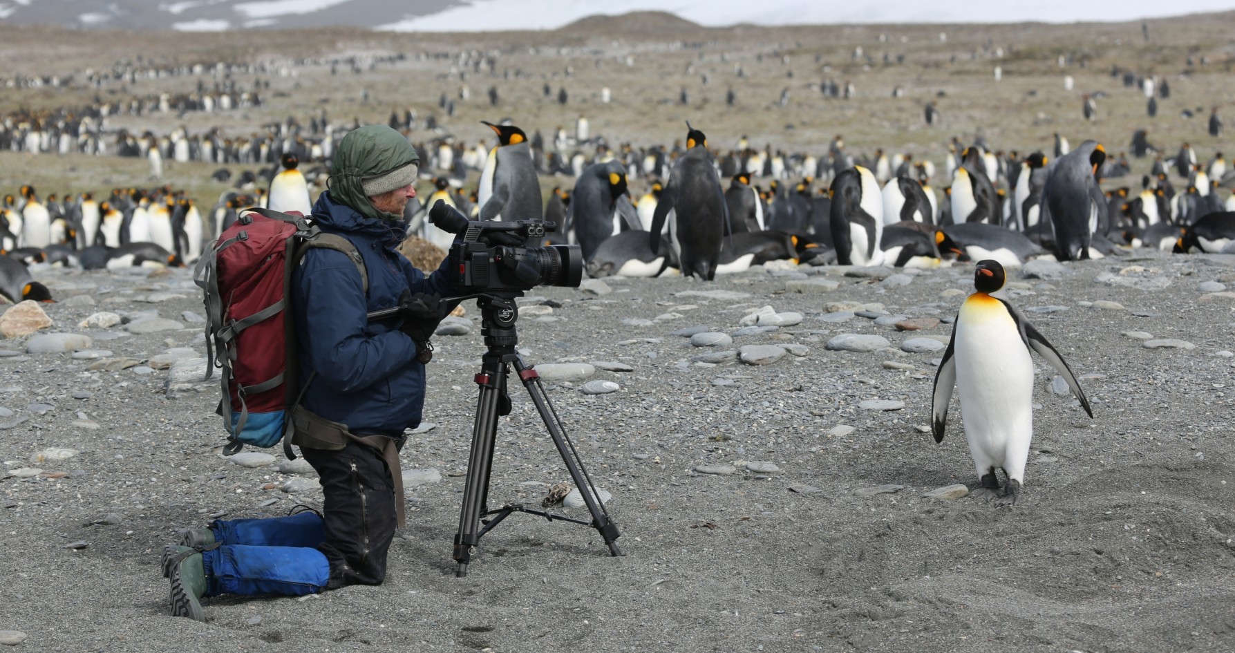 Andreas Kieling Expedition Zu Den Letzten Ihrer Art presse.onegate.de