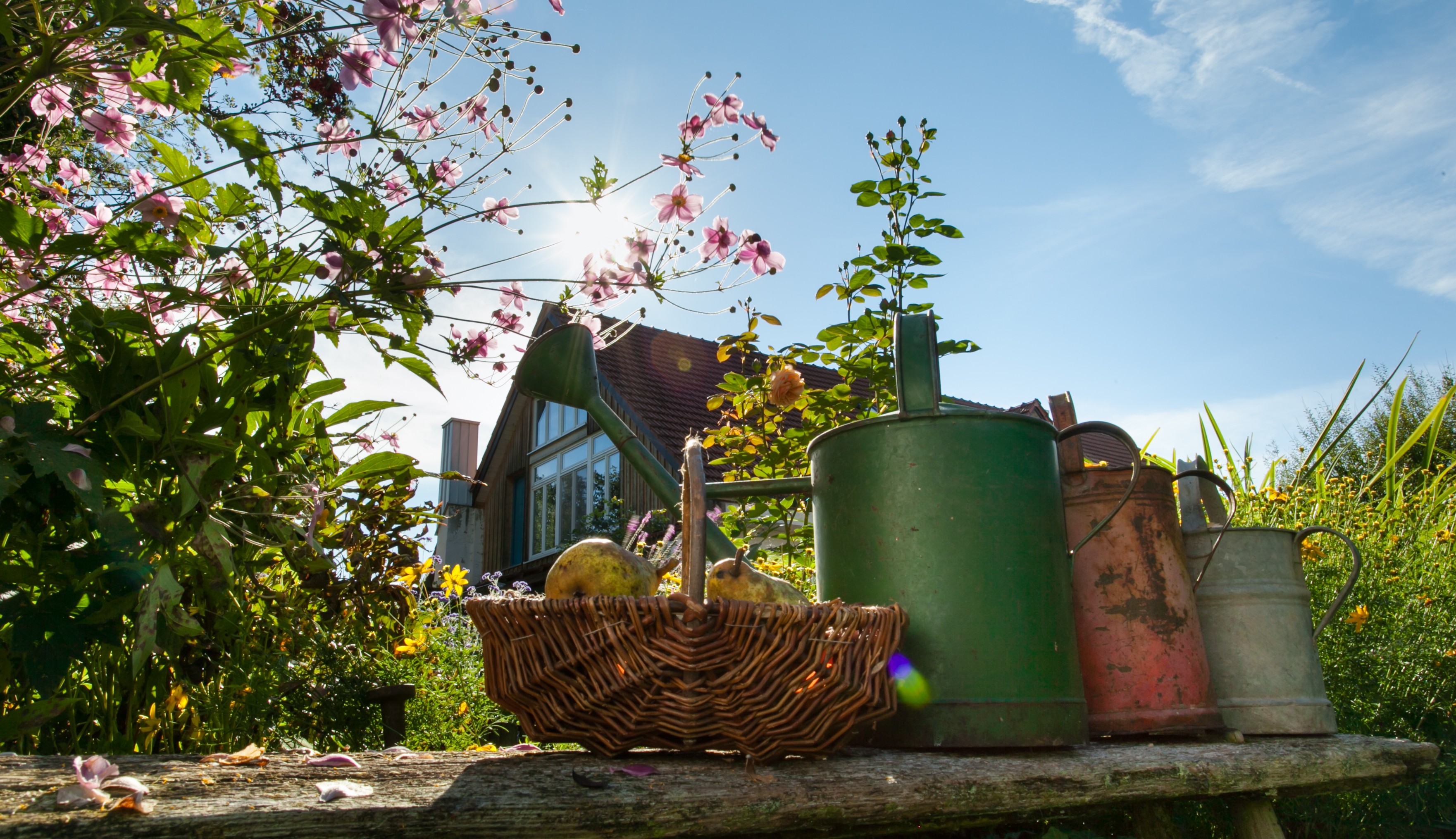 Geheimnisvoller Garten Frühlingserwachen Erntezeit Pressebereich
