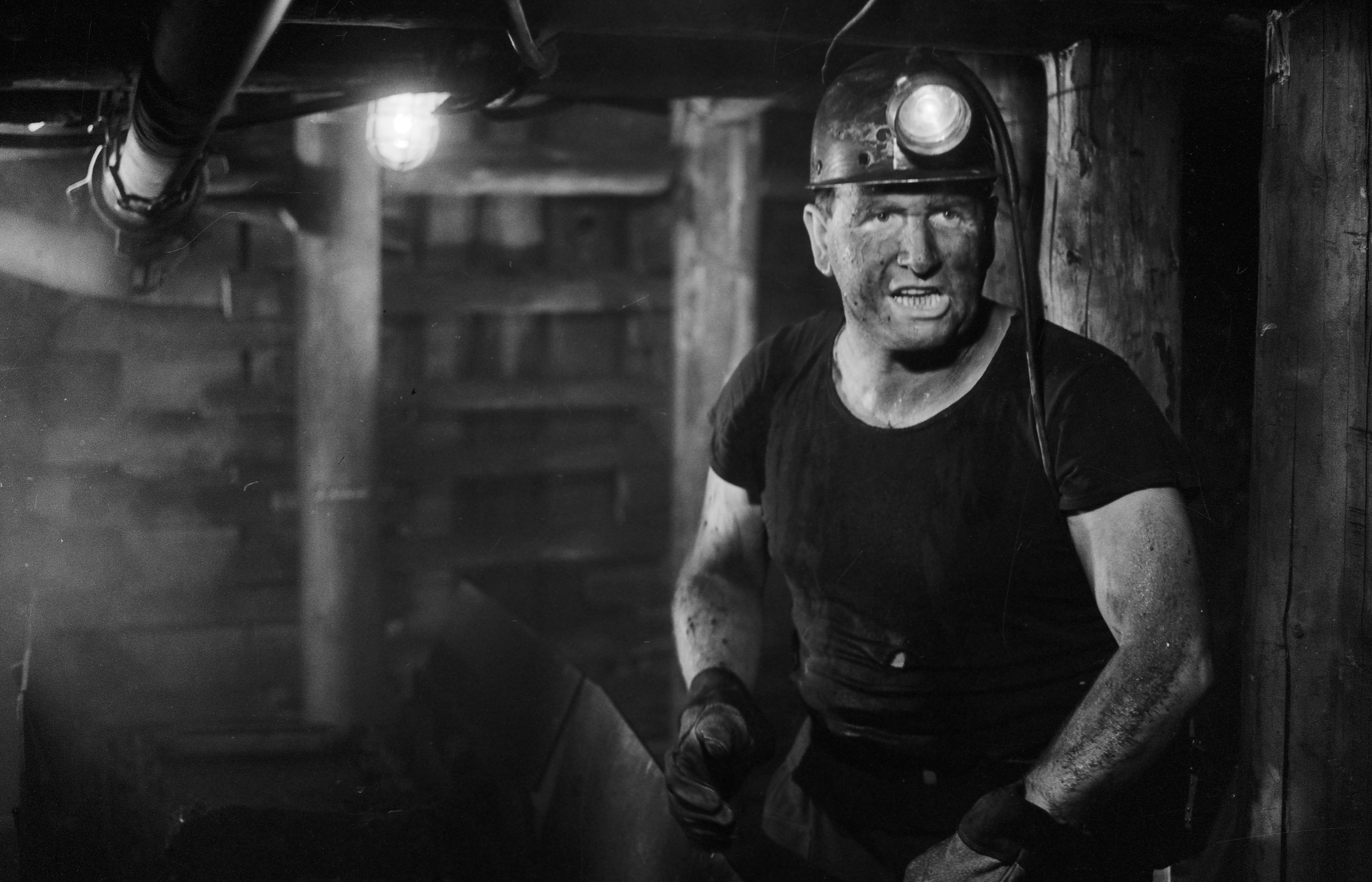 Irrlicht und Feuer Pressebereich