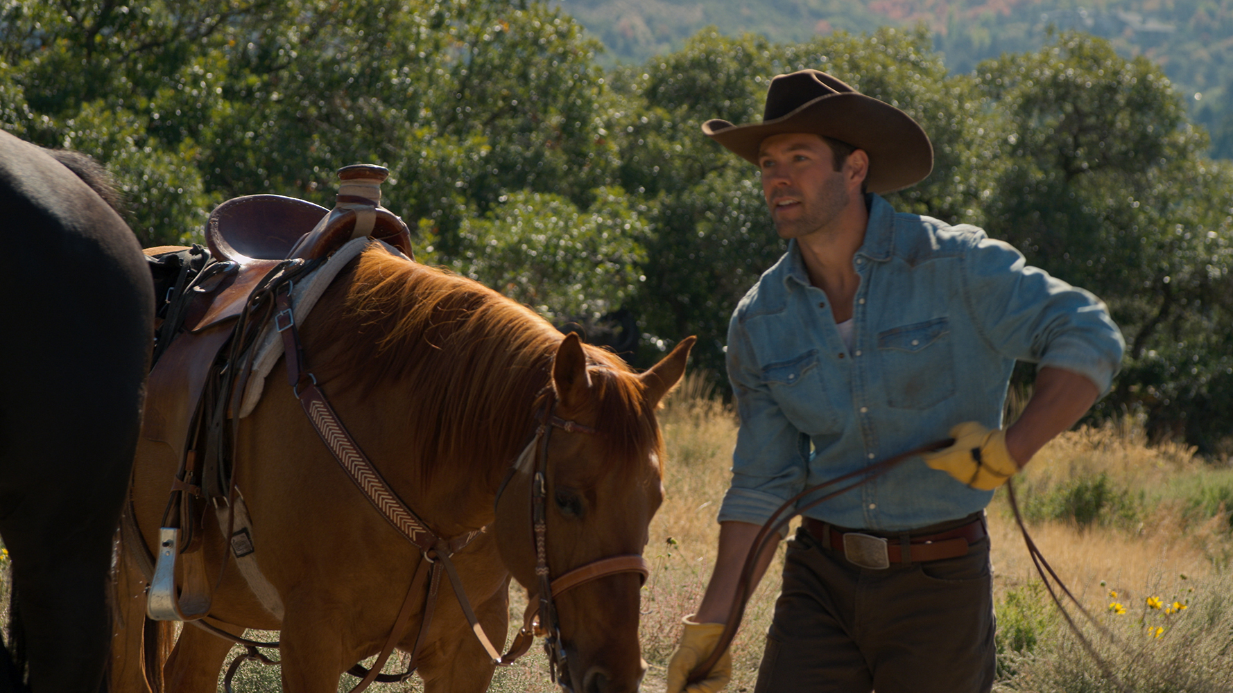 Romance In The Ranch Liebe am Horizont – Romance On The Ranch – Pressebereich